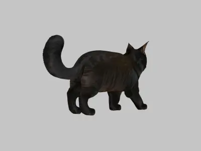 Black Cat 3D Model Low-poly 3D model