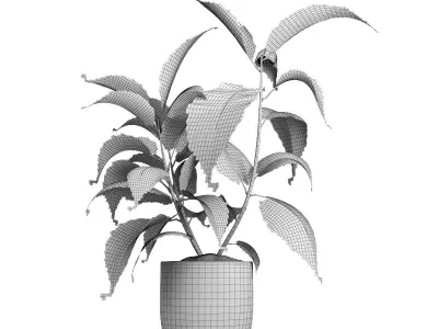 indoor plant 052 3D model