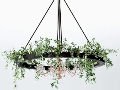 plants collection set 03