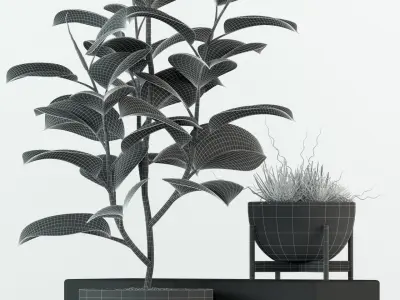 Plants collection 78 Modernica pots 3D model