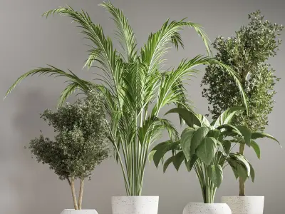 indoorplantstand26 palm tree in pot 3D model