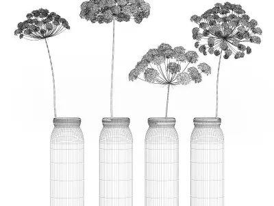 Wild Carrot Flowers in Glass Jars 3D model