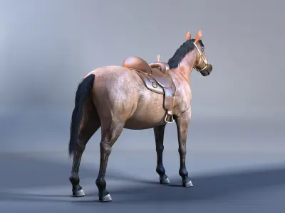 Horse with Saddle 3D Model with Mental Ray Materials 3D model