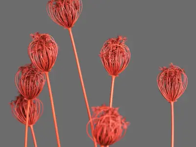 Decor Set 89 Coral vase branch plants Buddha nuts 3D model