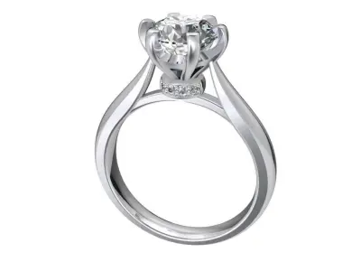 Engagement Ring Hybrid 3D File For Render Animation-CC104 3D model