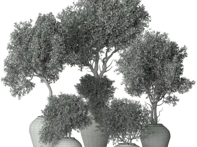 Indoor plant 14 3D model