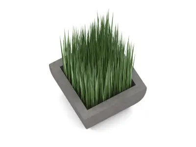 Potted grass Free 3D model