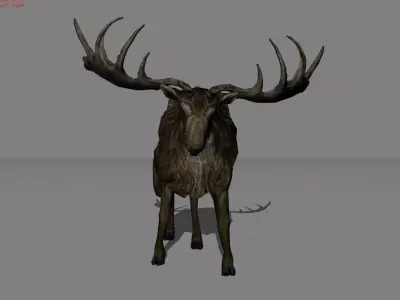 Deer Animal  Low-poly 3D model