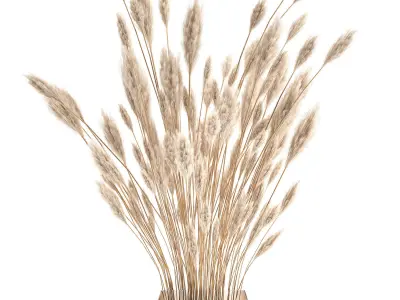 Bouquet of dried white reeds in a Vase 149 3D model