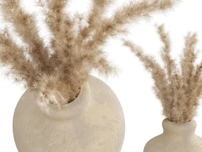 Pampas 3D model
