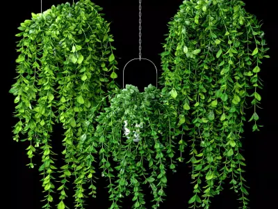 Artificial Trailing Plant Set 3D model