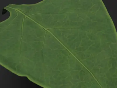 Bell Pepper Plant Low-poly 3D model