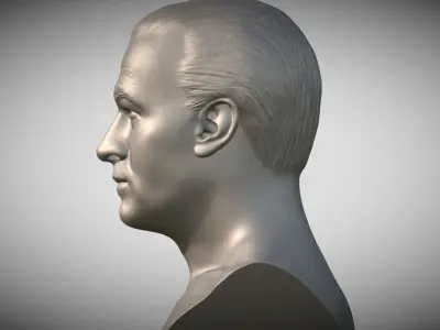 Steven Seagal bust 3D print model