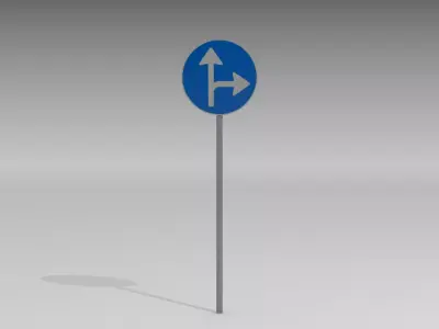 Turn right or straight 3D model