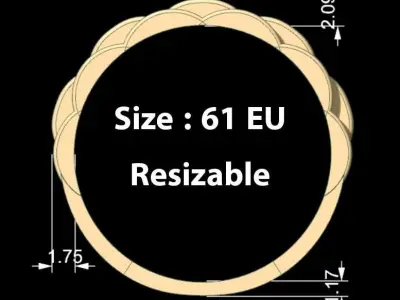 Luxury Sport Ring 3D print model