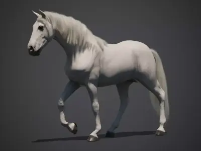 White Horse Animated 3D model