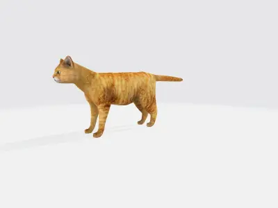 cat 3d orange 3D model