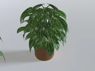 Pot Tropical Plant 3 Low-poly 3D model