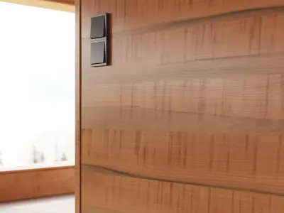 Apple veneer texture 3D model