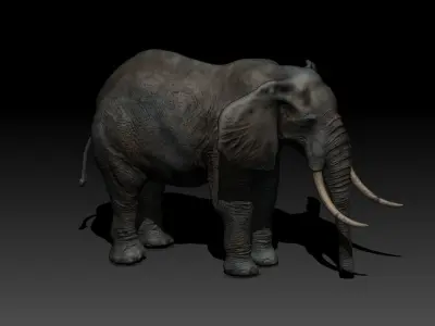 Elephant with long tusks Low-poly 3D model