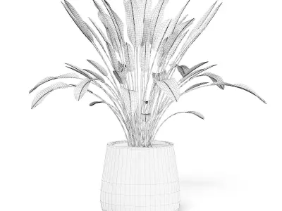 Plant 3D Model in White Pot 3D model