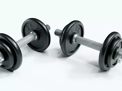 Dumbbell 3D model buy