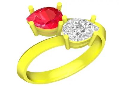 Luxury Toi et Moi Two Stone Ring for Women  5087 3D print model
