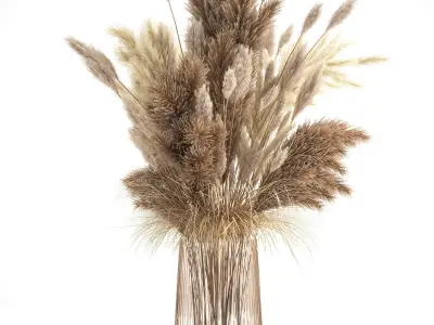 Bouquet of dried white reeds in a Vase 146 3D model