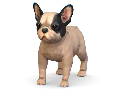 Beige French Bulldog Dog Puppy Low-poly 3D model