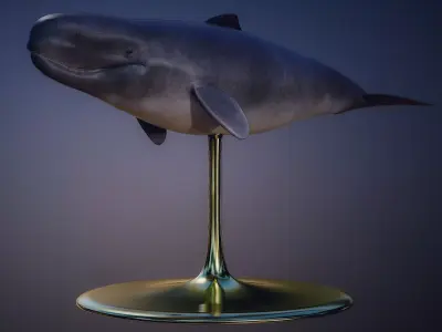 Livyatan Melvillei  3D model
