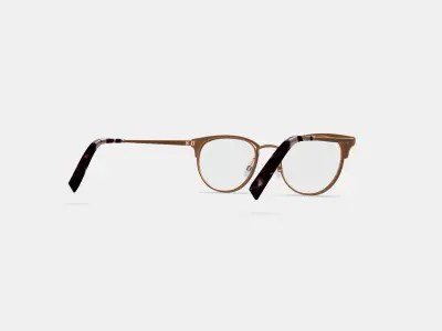 Blair Eyeglasses in Rose Gold 3D model