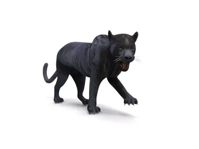 3d Wild Black Panther Rigged Model Low-poly 3D model