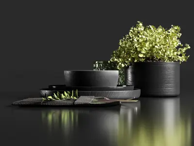 Table setting in black colors 3D model
