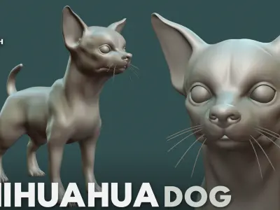 Chihuahua Dog  3D model