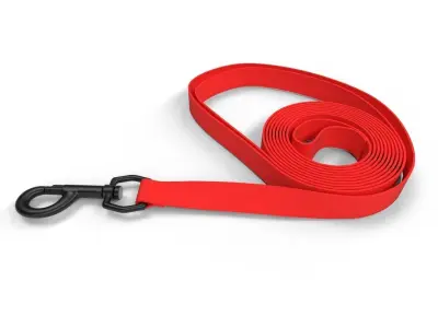 Pet Leash M03 Low-poly 3D model