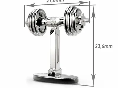 110624 CL Dumbbells cufflinks 3D print model