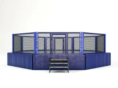 Mixed Martial Arts Octagon Arena 3D model
