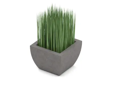 Potted grass Free 3D model