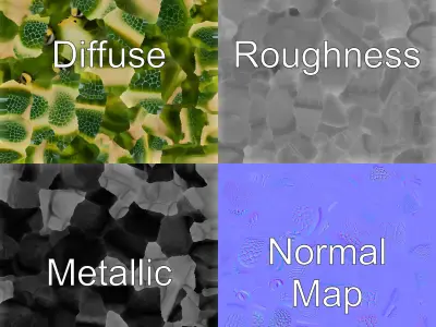 Green Sea Turtle Realistic Model Pack Low-poly 3D model