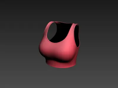 Sport Bra 3D model