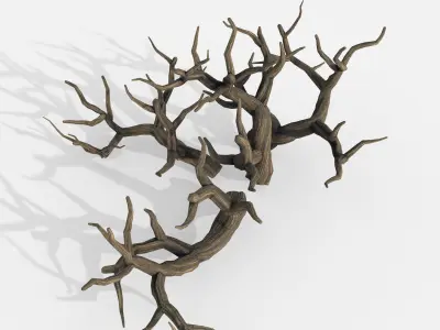 Aquarium Snag Banches V2 3D model