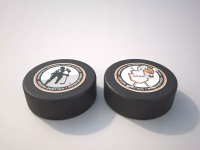 Puck sportball 3D model