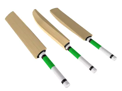 Cricket Bat 3D model
