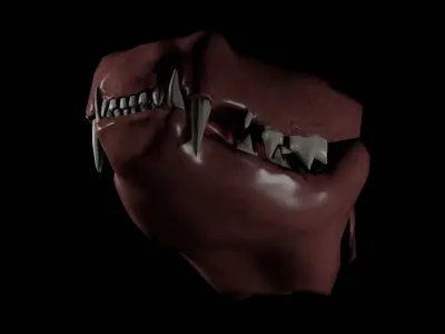 Cat Teeth Low-poly 3D model