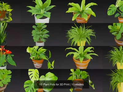 10 Plant Pots 3d Model 3D Model Collection