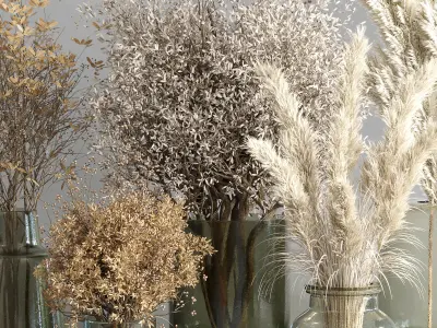 Collection Dry Plants Bouquet Indoor 09 3D model