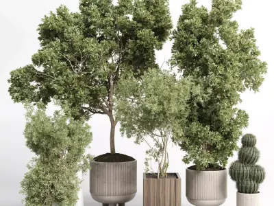 Collection indoor outdoor plant 405 plant tree  Low-poly 3D model