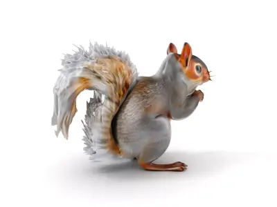 Squirrel Model Pack  Detailed D Animal Model Collection Low-poly 3D model