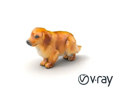 GoldenSun Retriever fluffy companion model pack Low-poly 3D model
