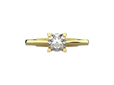 gold ring code 33 3D print model